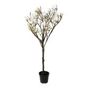 Artificial Magnolia Tree H120 cm - White