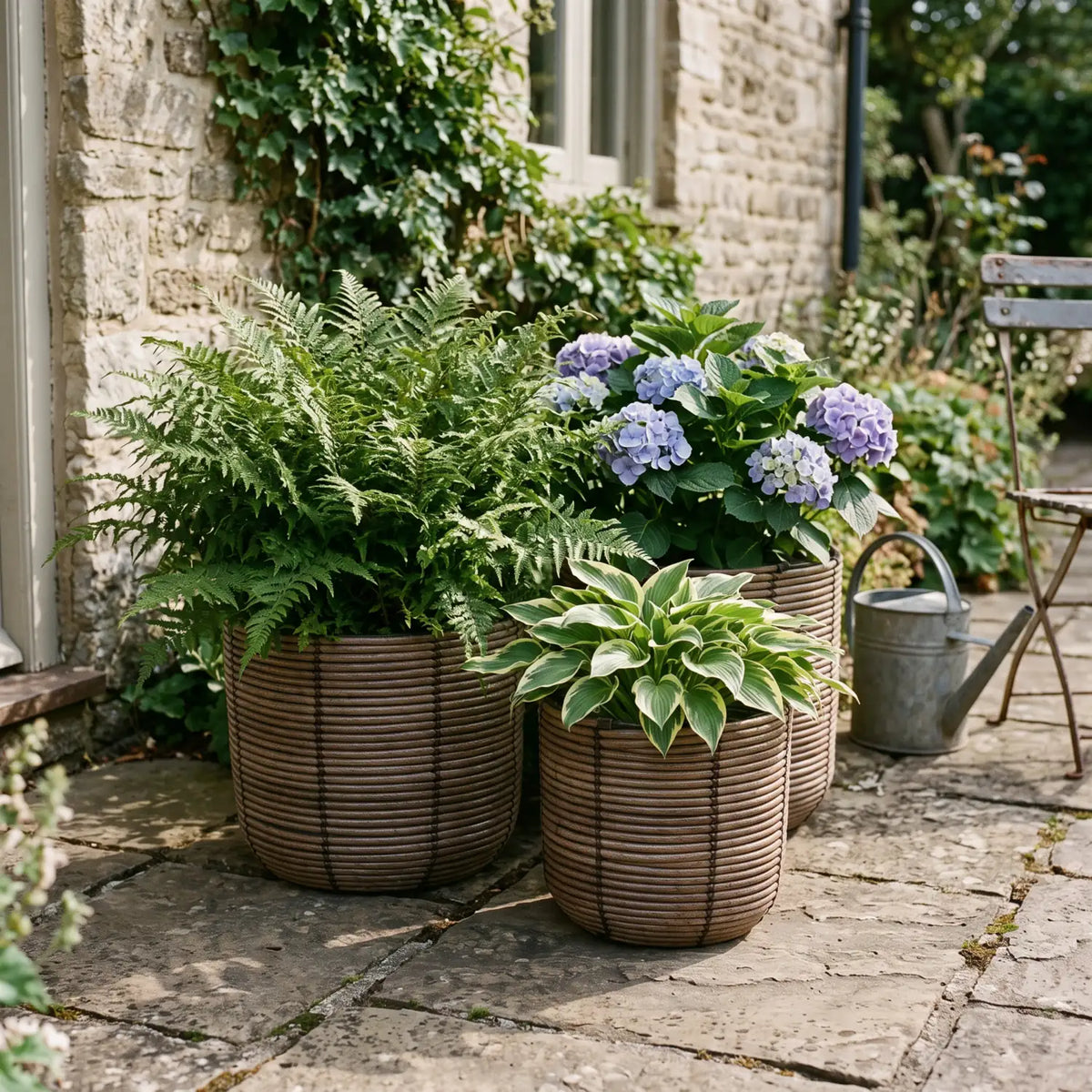 Rattan Basket Set of 3 as plant covers with fern, hydrangea and hosta on a patio