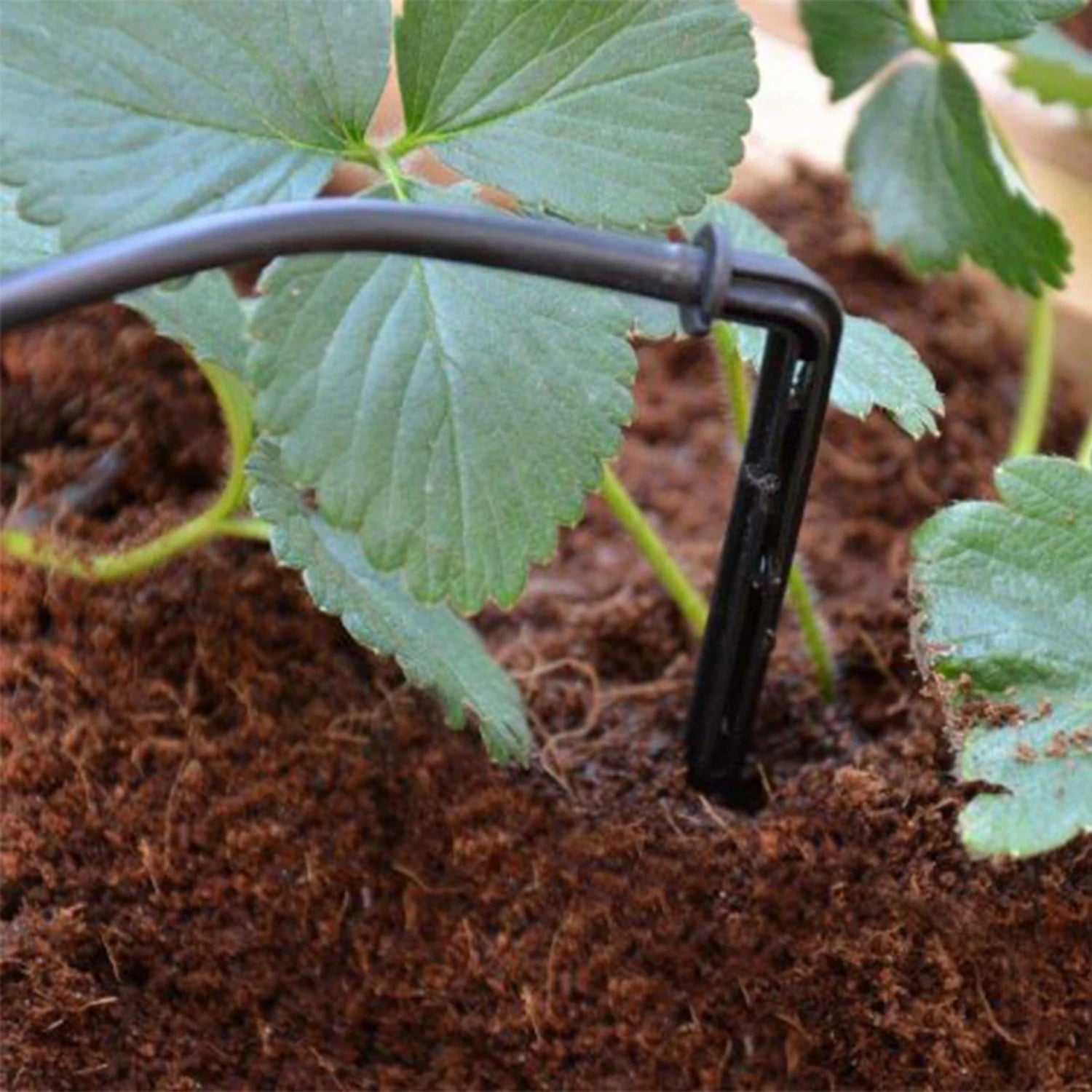 Drip Irrigation Kit for Greenhouse