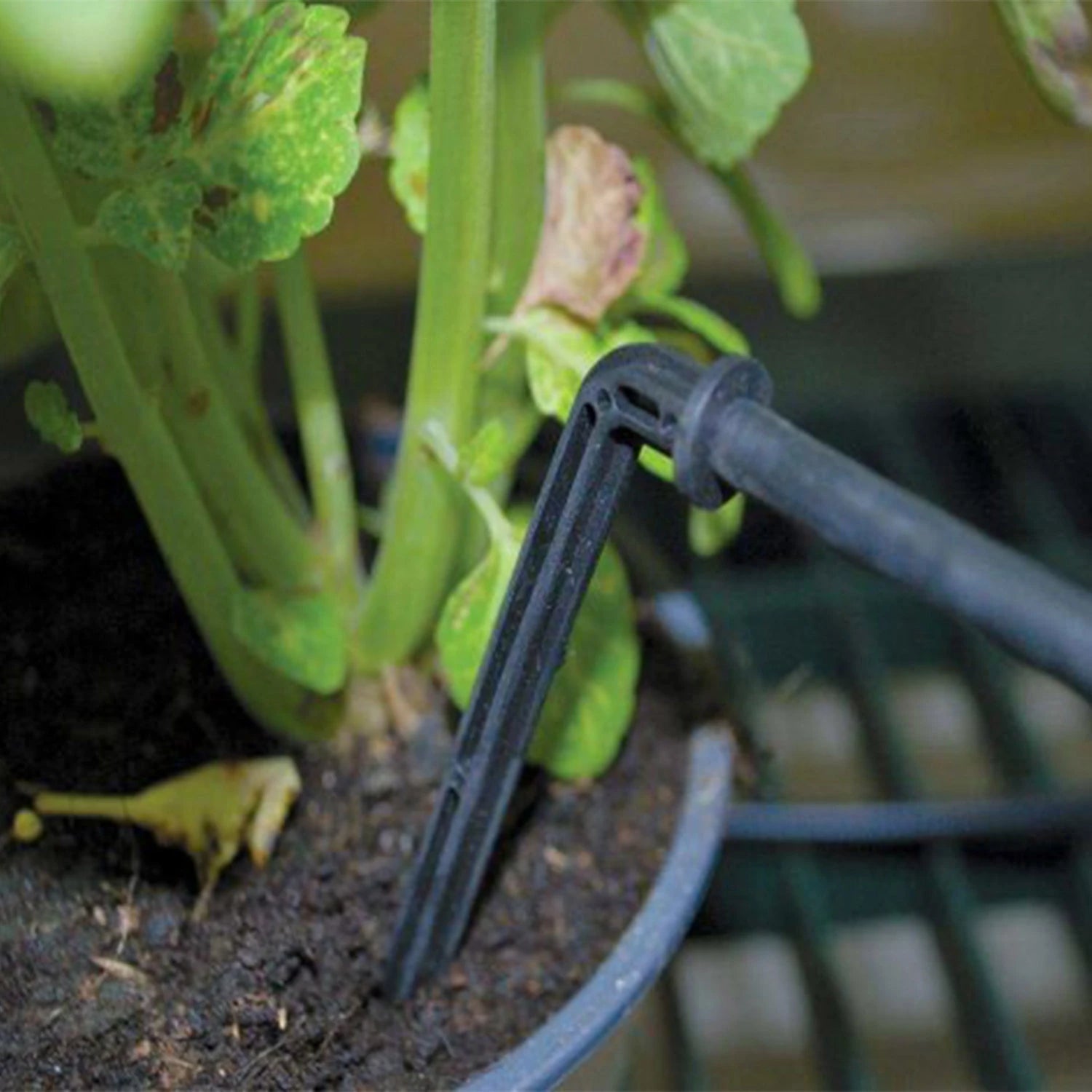 Drip Irrigation Kit for Greenhouse