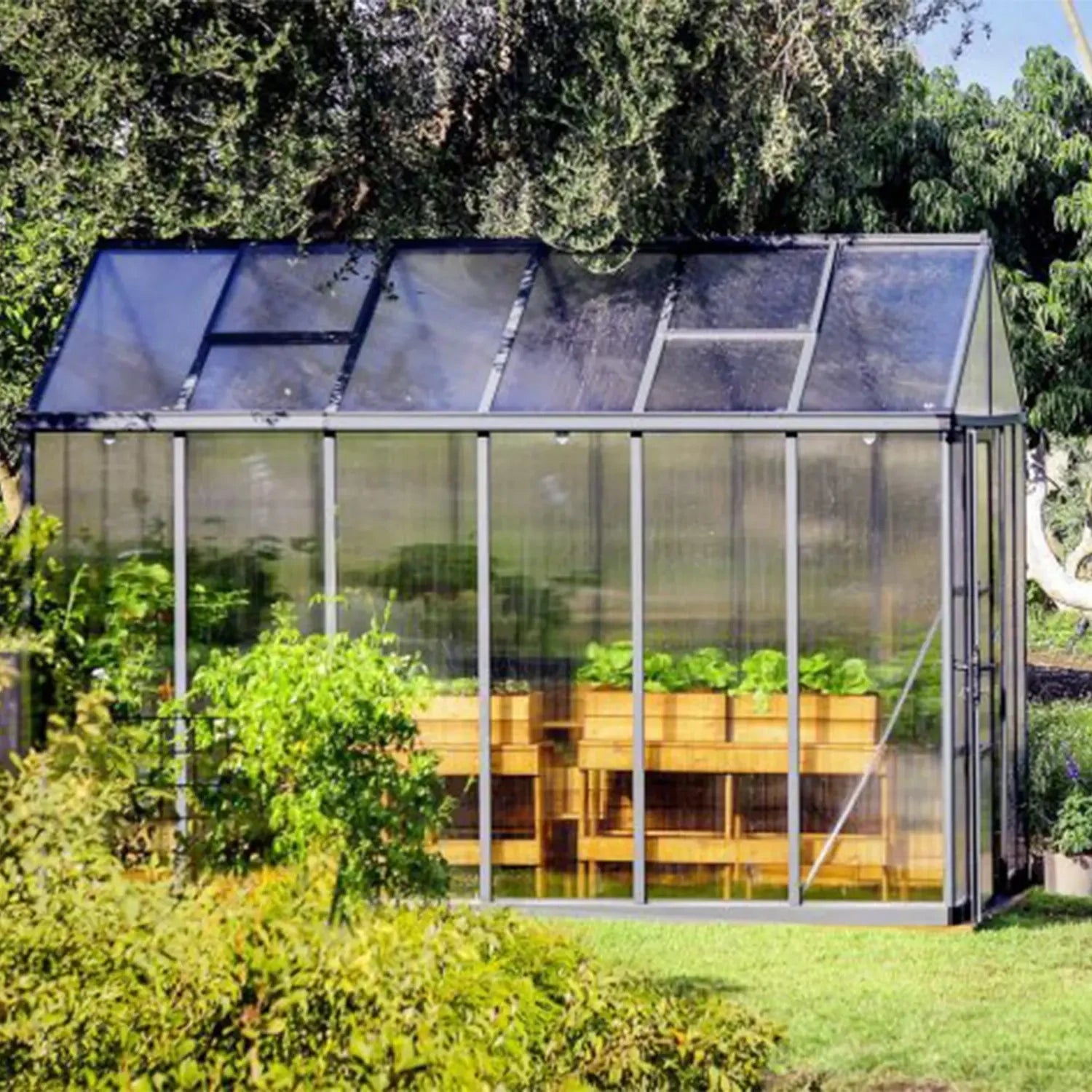 Greenhouse Glory 8×12 ft. – Grey