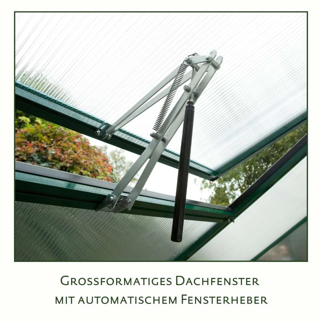 Enzian III Clear Greenhouse KGT – Quality for Your Garden