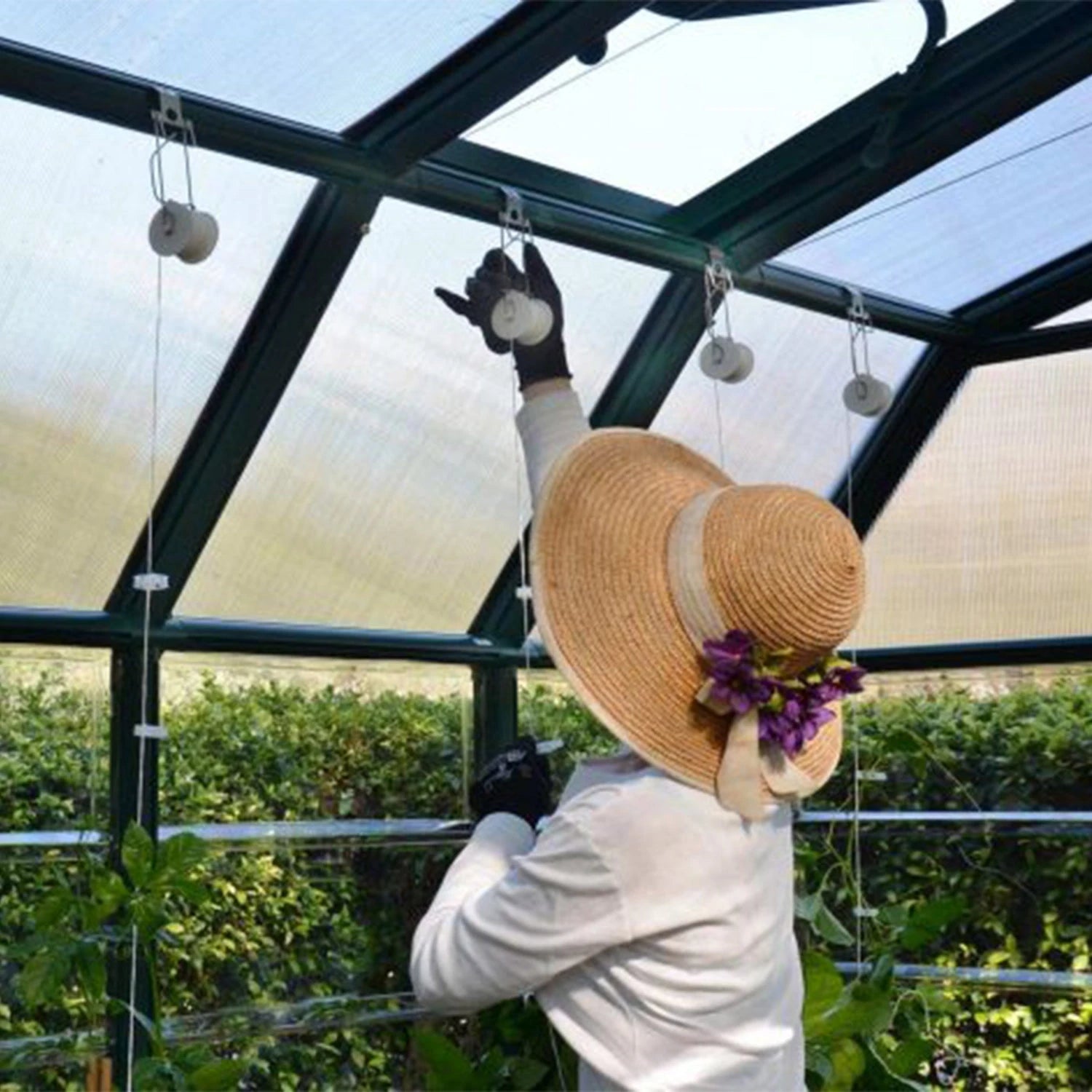 Trellising Kit Pro for Greenhouse