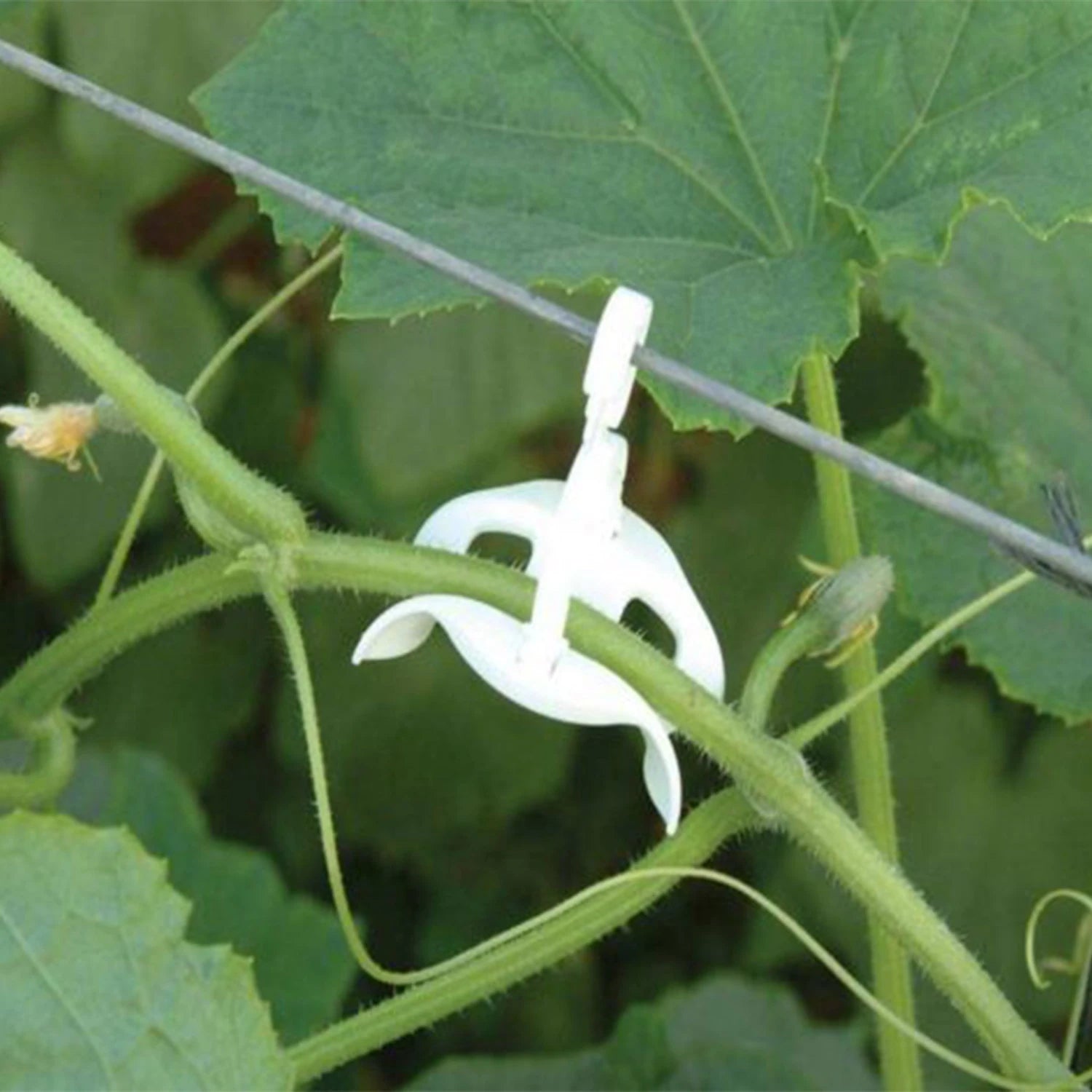 Trellising Kit Pro for Greenhouse