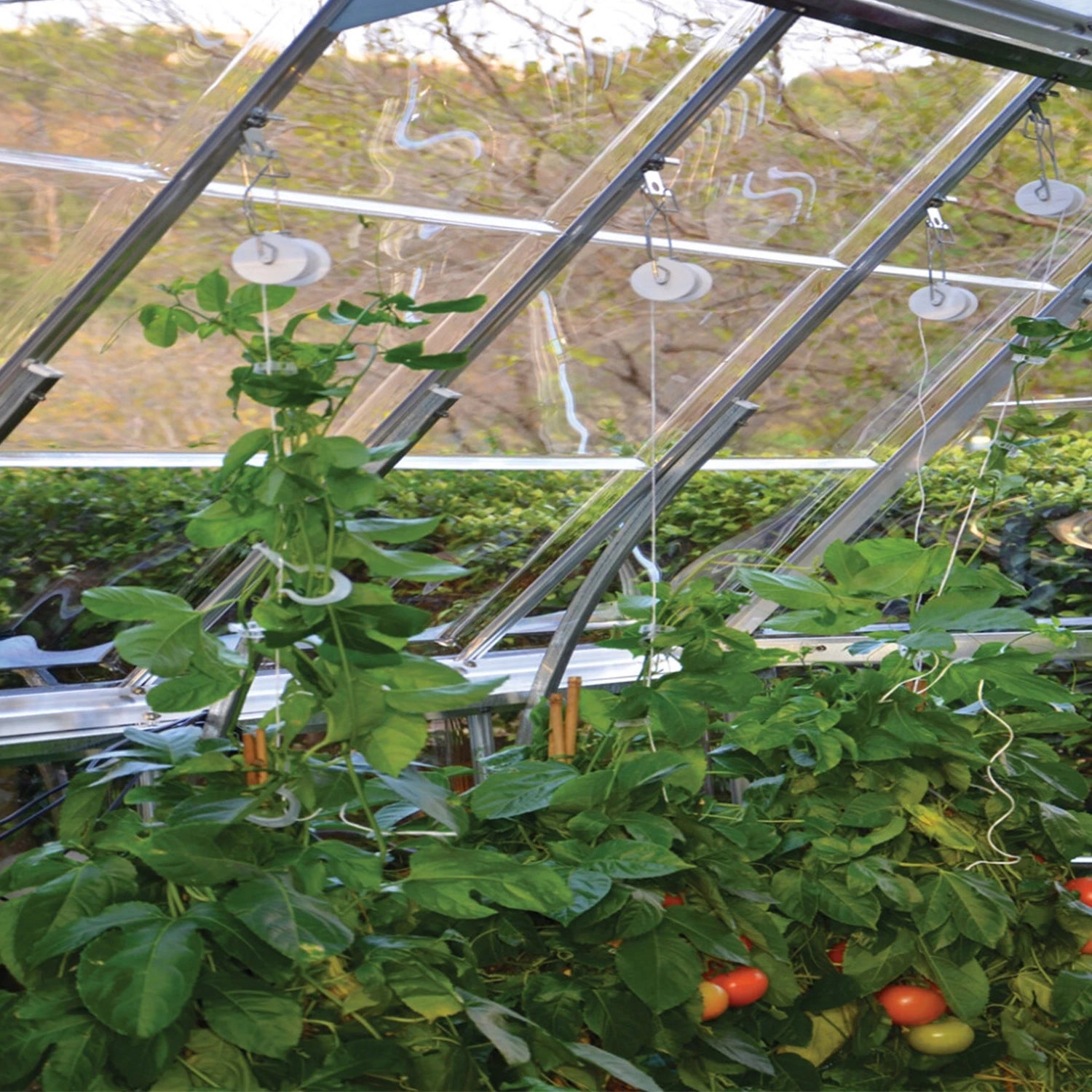 Trellising Kit Pro for Greenhouse