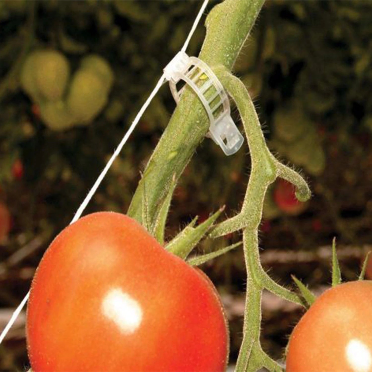 Trellising Kit Pro for Greenhouse
