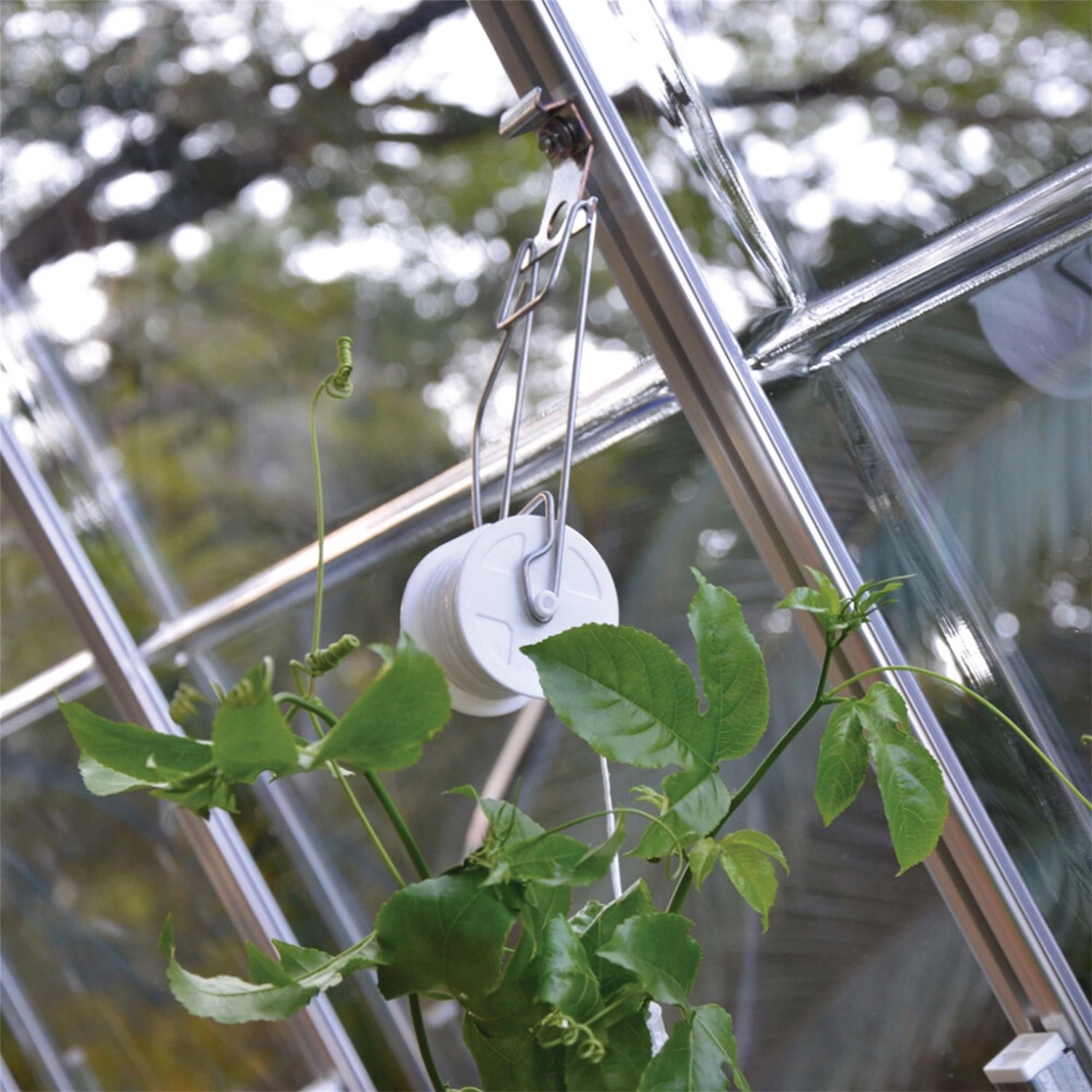 Trellising Kit Pro for Greenhouse