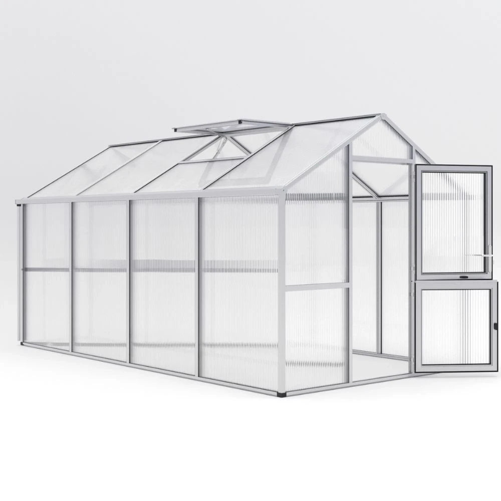 Greenhouse Iris IV, blank