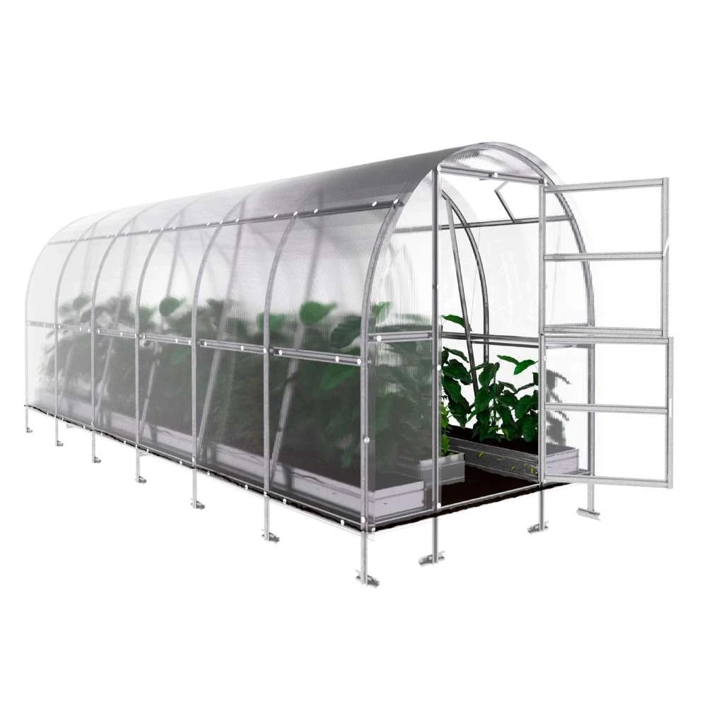 KLASIKA SLIM Greenhouse 2 x 6 m (12 m2)