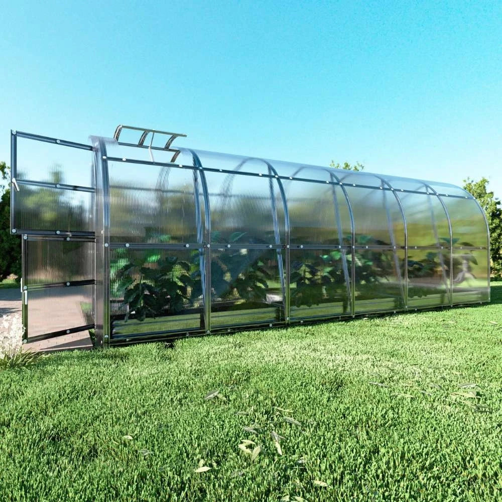 KLASIKA SLIM Greenhouse 2 x 6 m (12 m2)