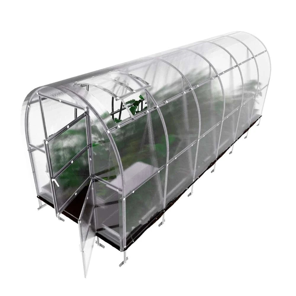 KLASIKA SLIM Greenhouse 2 x 6 m (12 m2)
