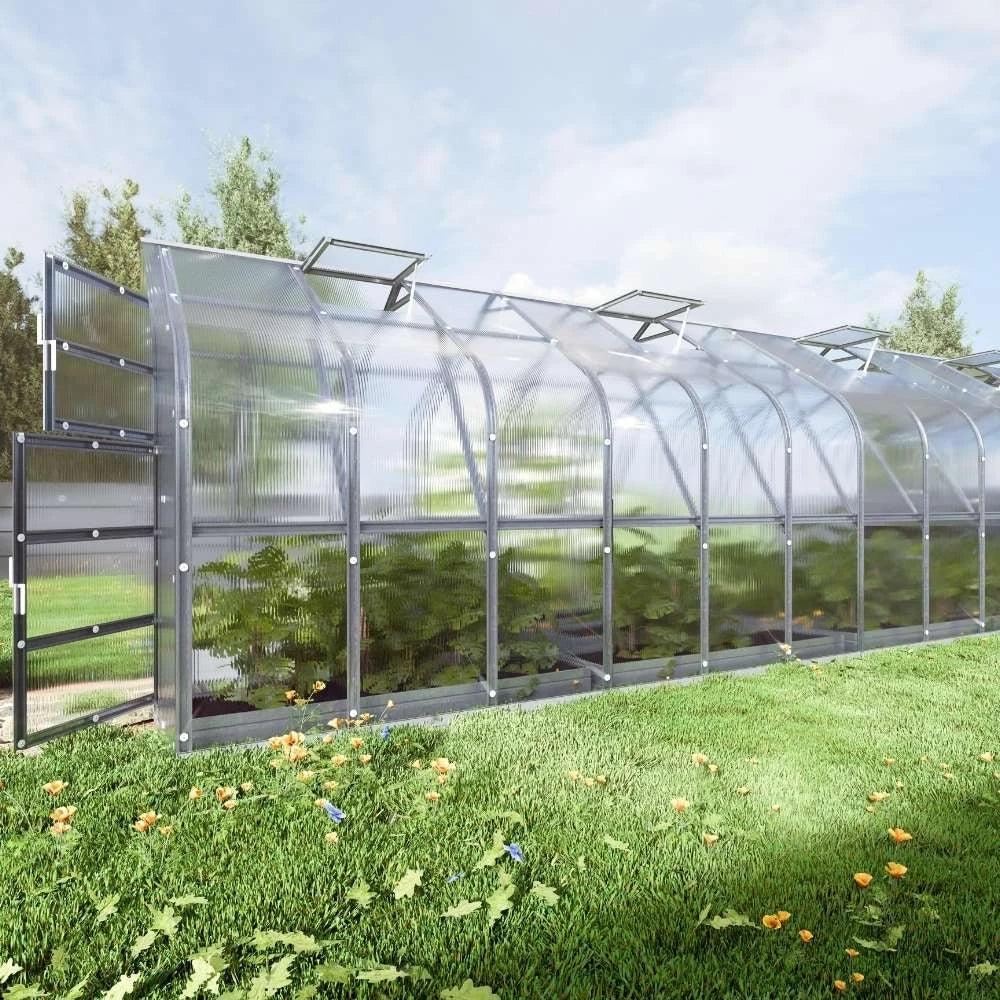 KLASIKA Standard 2,5 x 10 m (25 m2) (5 Roof windows)