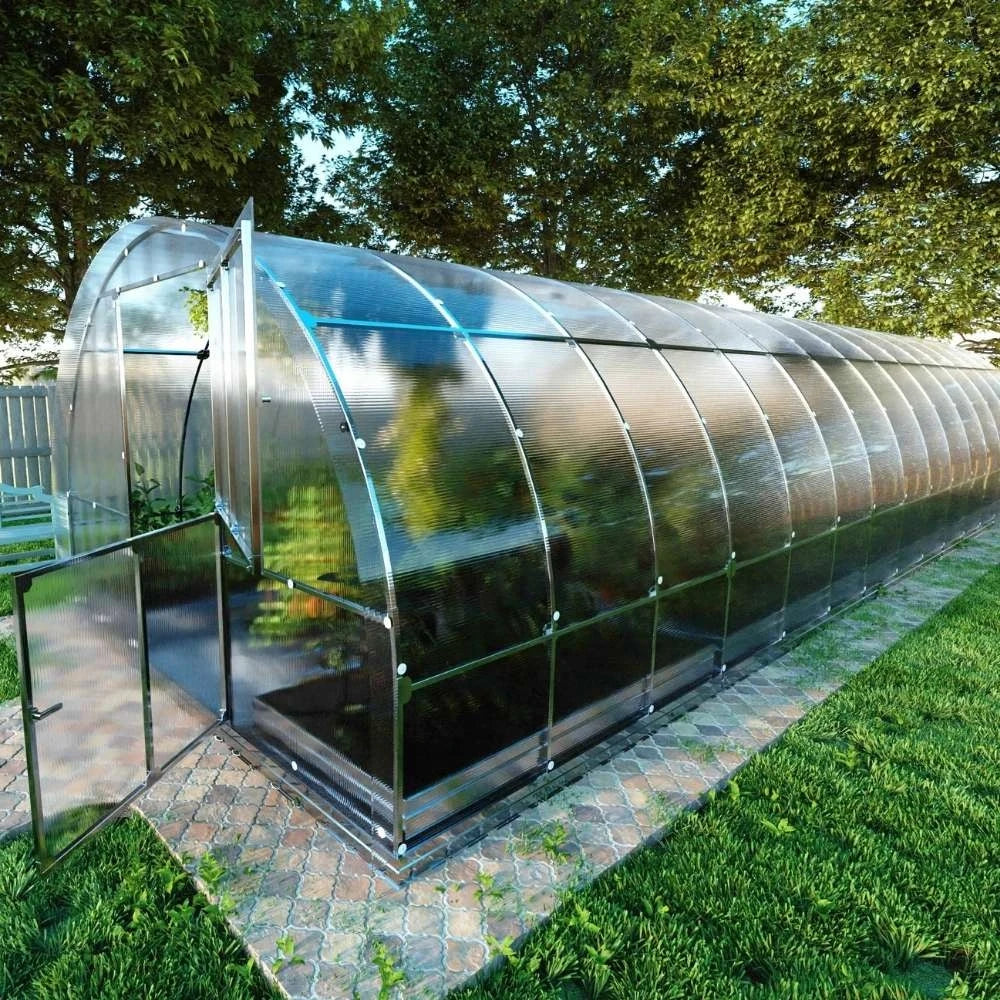 TUBE Arch Greenhouse 3 x 12 m (36 m2)