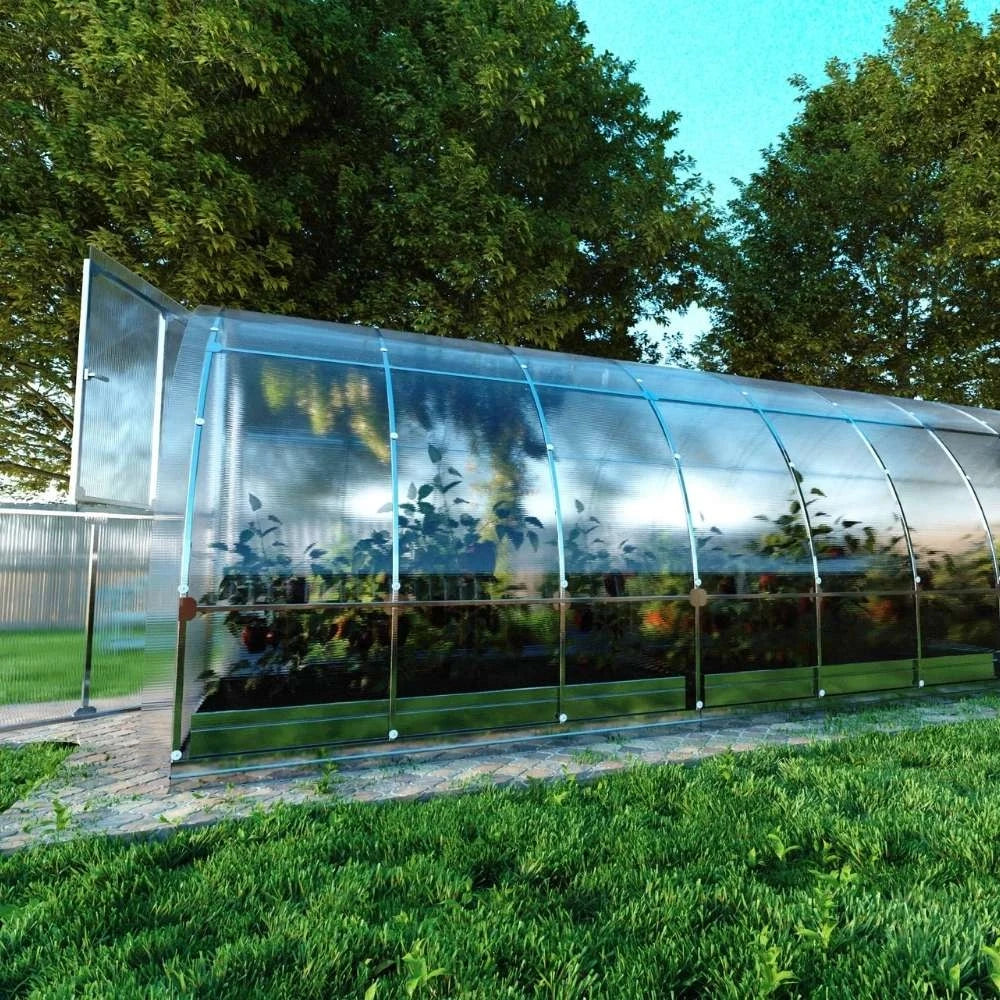 TUBE Arch Greenhouse 3 x 10 m (30 m2)