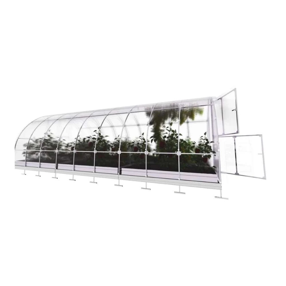 TUBE Arch Greenhouse 3 x 6 m (18 m2)