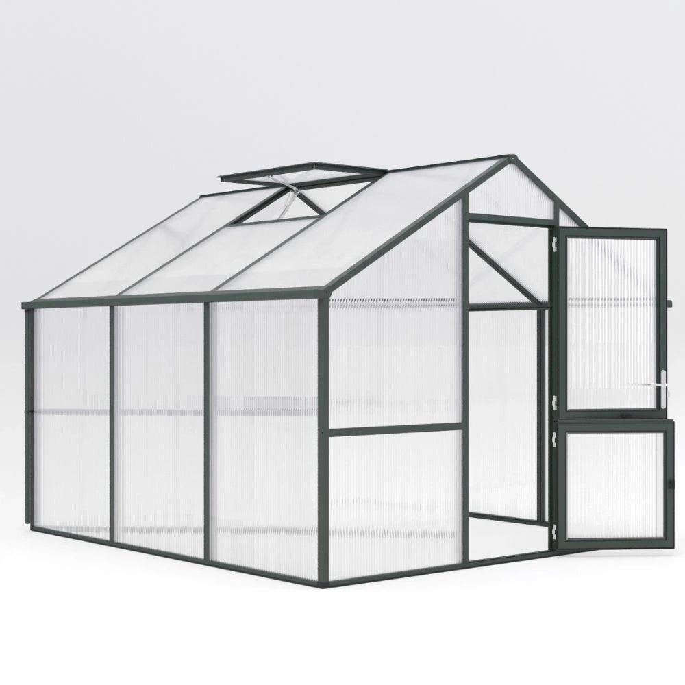 Greenhouse Nelke III, fir green
