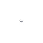 Classical chair with armrest